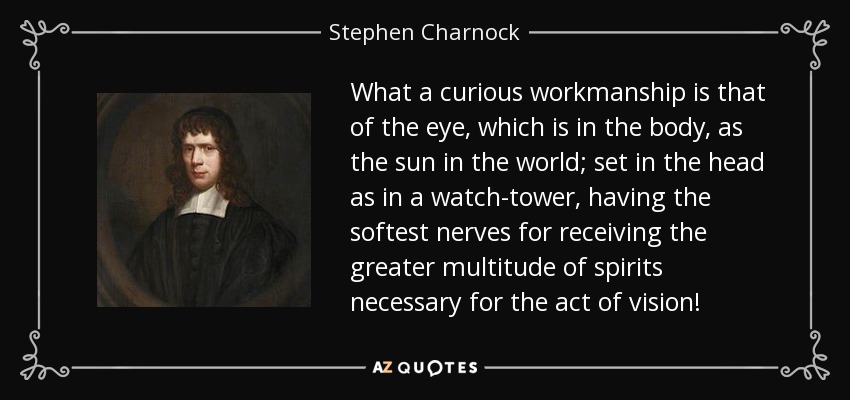 What a curious workmanship is that of the eye, which is in the body, as the sun in the world; set in the head as in a watch-tower, having the softest nerves for receiving the greater multitude of spirits necessary for the act of vision! - Stephen Charnock