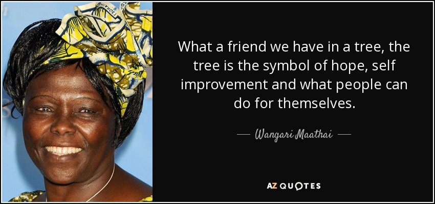 What a friend we have in a tree, the tree is the symbol of hope, self improvement and what people can do for themselves. - Wangari Maathai
