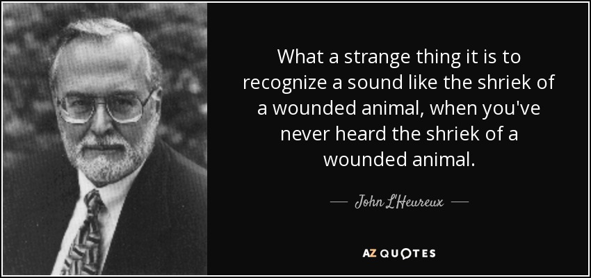 What a strange thing it is to recognize a sound like the shriek of a wounded animal, when you've never heard the shriek of a wounded animal. - John L'Heureux