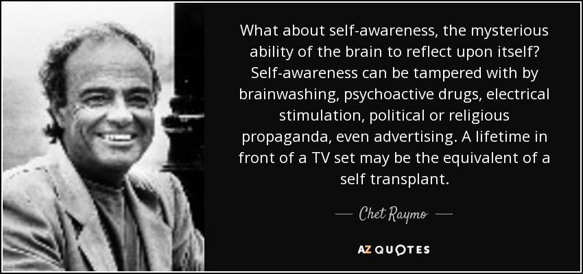 What about self-awareness, the mysterious ability of the brain to reflect upon itself? Self-awareness can be tampered with by brainwashing, psychoactive drugs, electrical stimulation, political or religious propaganda, even advertising. A lifetime in front of a TV set may be the equivalent of a self transplant. - Chet Raymo