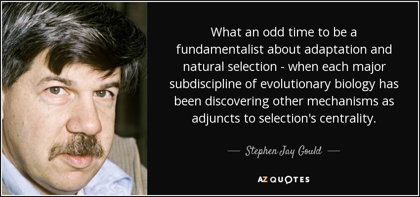 What an odd time to be a fundamentalist about adaptation and natural selection - when each major subdiscipline of evolutionary biology has been discovering other mechanisms as adjuncts to selection's centrality. - Stephen Jay Gould
