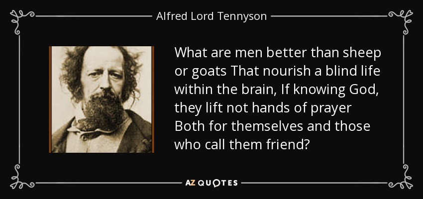 What are men better than sheep or goats That nourish a blind life within the brain, If knowing God, they lift not hands of prayer Both for themselves and those who call them friend? - Alfred Lord Tennyson