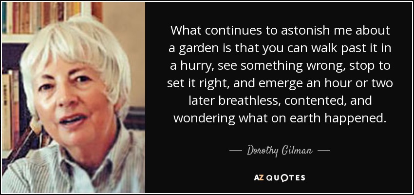 What continues to astonish me about a garden is that you can walk past it in a hurry, see something wrong, stop to set it right, and emerge an hour or two later breathless, contented, and wondering what on earth happened. - Dorothy Gilman