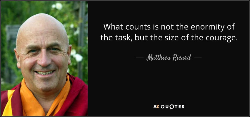 What counts is not the enormity of the task, but the size of the courage. - Matthieu Ricard