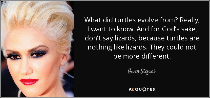 What did turtles evolve from? Really, I want to know. And for God’s sake, don’t say lizards, because turtles are nothing like lizards. They could not be more different. - Gwen Stefani