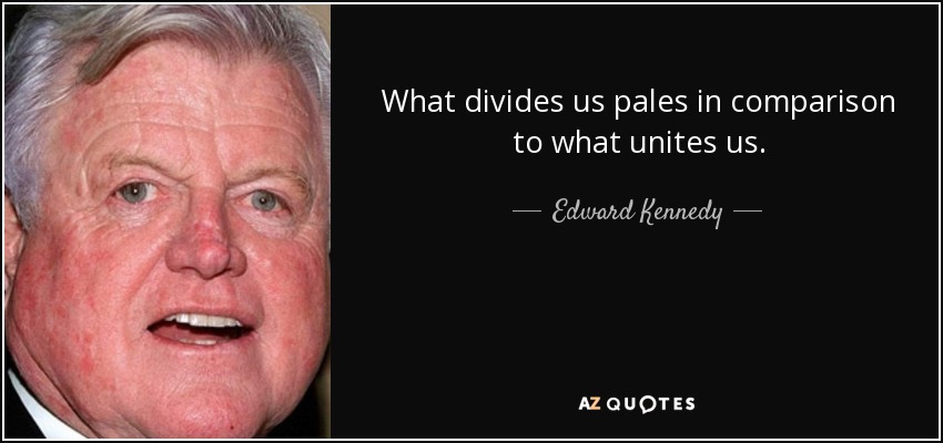 What divides us pales in comparison to what unites us. - Edward Kennedy