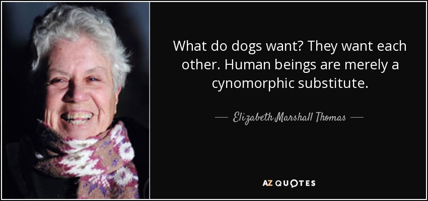 What do dogs want? They want each other. Human beings are merely a cynomorphic substitute. - Elizabeth Marshall Thomas