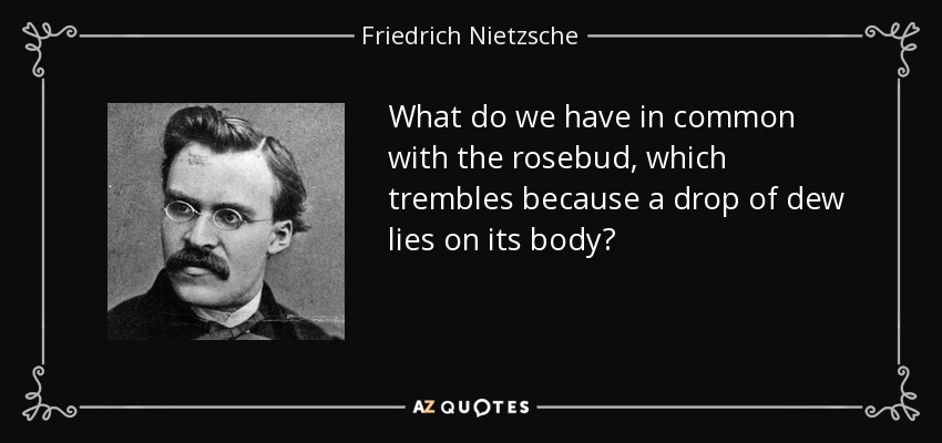 What do we have in common with the rosebud, which trembles because a drop of dew lies on its body? - Friedrich Nietzsche