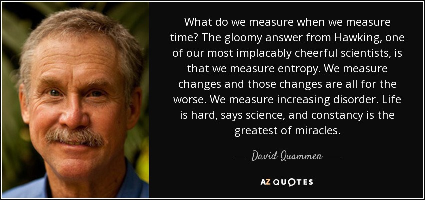 What do we measure when we measure time? The gloomy answer from Hawking, one of our most implacably cheerful scientists, is that we measure entropy. We measure changes and those changes are all for the worse. We measure increasing disorder. Life is hard, says science, and constancy is the greatest of miracles. - David Quammen