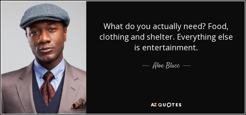 Aloe Blacc quote: What do you actually need? Food, clothing and shelter.  Everything