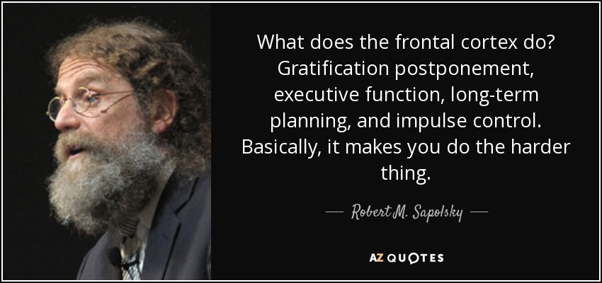 What does the frontal cortex do? Gratification postponement, executive function, long-term planning, and impulse control. Basically, it makes you do the harder thing. - Robert M. Sapolsky