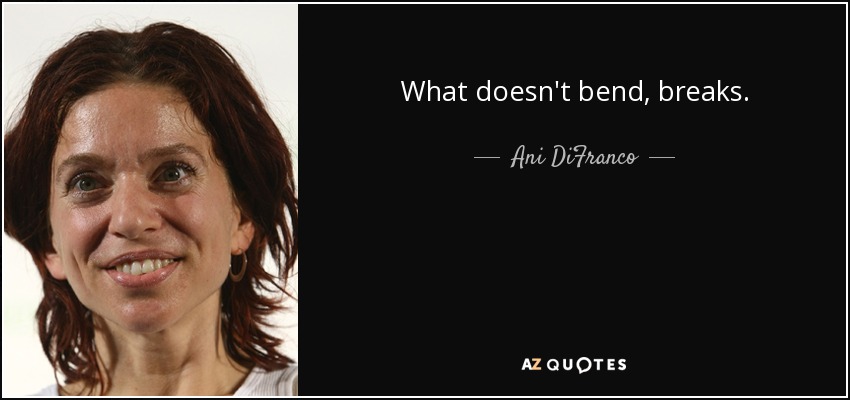 What doesn't bend, breaks. - Ani DiFranco