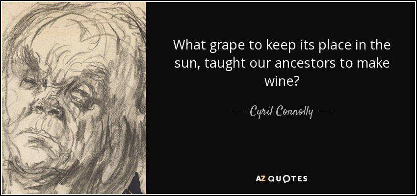 What grape to keep its place in the sun, taught our ancestors to make wine? - Cyril Connolly