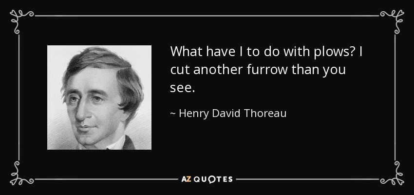 What have I to do with plows? I cut another furrow than you see. - Henry David Thoreau