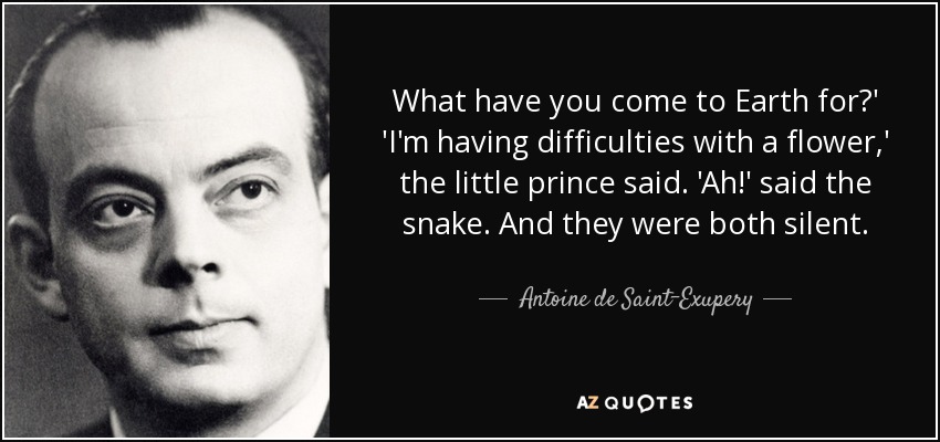 What have you come to Earth for?' 'I'm having difficulties with a flower,' the little prince said. 'Ah!' said the snake. And they were both silent. - Antoine de Saint-Exupery
