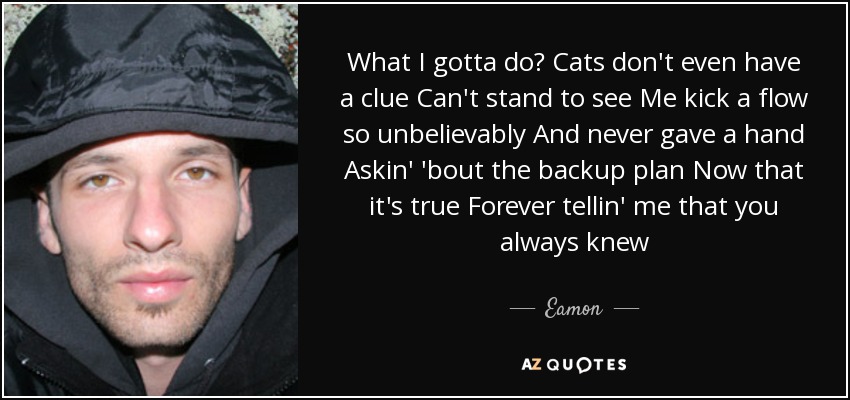What I gotta do? Cats don't even have a clue Can't stand to see Me kick a flow so unbelievably And never gave a hand Askin' 'bout the backup plan Now that it's true Forever tellin' me that you always knew - Eamon