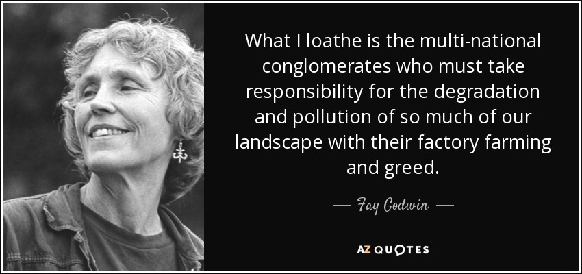 What I loathe is the multi-national conglomerates who must take responsibility for the degradation and pollution of so much of our landscape with their factory farming and greed. - Fay Godwin