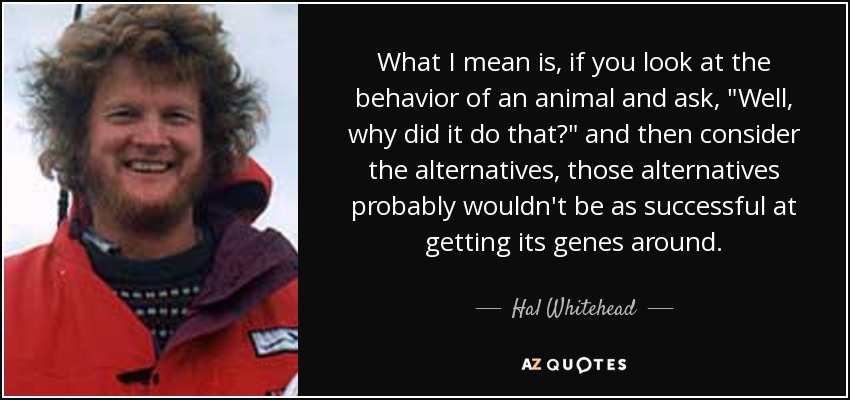 What I mean is, if you look at the behavior of an animal and ask, 
