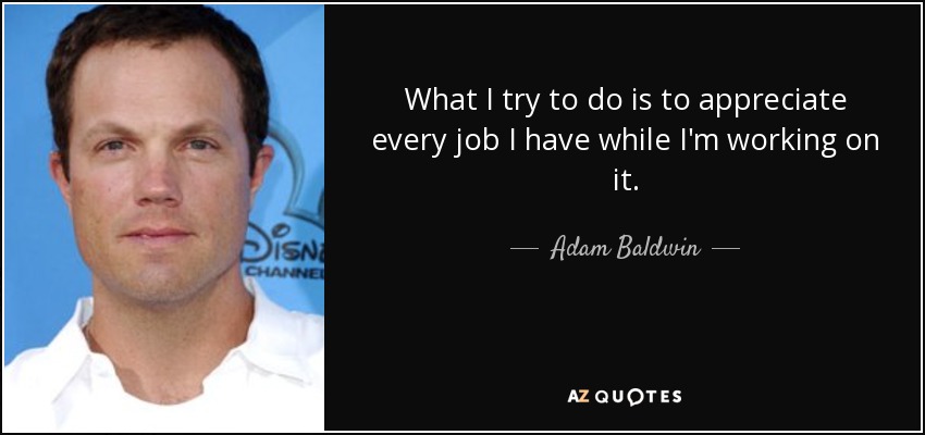 What I try to do is to appreciate every job I have while I'm working on it. - Adam Baldwin