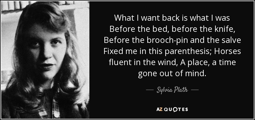 What I want back is what I was Before the bed, before the knife, Before the brooch-pin and the salve Fixed me in this parenthesis; Horses fluent in the wind, A place, a time gone out of mind. - Sylvia Plath