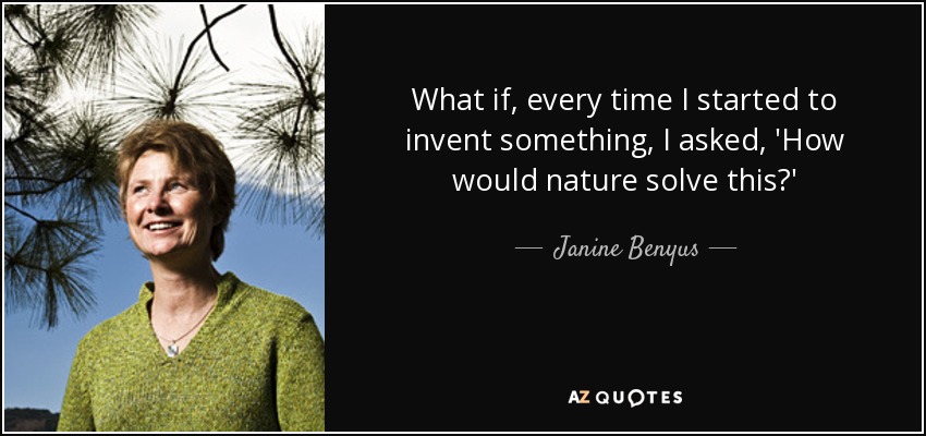 What if, every time I started to invent something, I asked, 'How would nature solve this?' - Janine Benyus