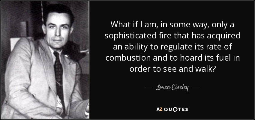 What if I am, in some way, only a sophisticated fire that has acquired an ability to regulate its rate of combustion and to hoard its fuel in order to see and walk? - Loren Eiseley
