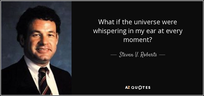 What if the universe were whispering in my ear at every moment? - Steven V. Roberts