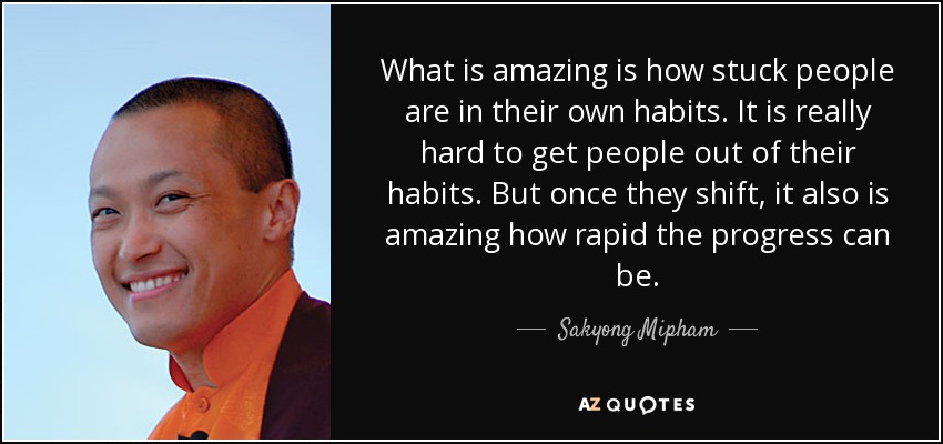 What is amazing is how stuck people are in their own habits. It is really hard to get people out of their habits. But once they shift, it also is amazing how rapid the progress can be. - Sakyong Mipham