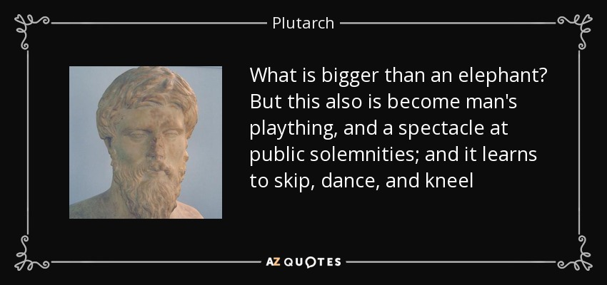 What is bigger than an elephant? But this also is become man's plaything, and a spectacle at public solemnities; and it learns to skip, dance, and kneel - Plutarch