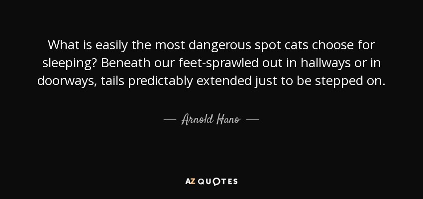 What is easily the most dangerous spot cats choose for sleeping? Beneath our feet-sprawled out in hallways or in doorways, tails predictably extended just to be stepped on. - Arnold Hano