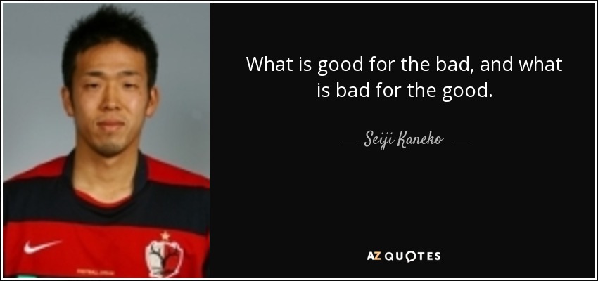 What is good for the bad, and what is bad for the good. - Seiji Kaneko