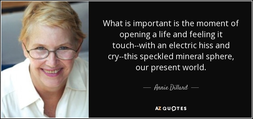 What is important is the moment of opening a life and feeling it touch--with an electric hiss and cry--this speckled mineral sphere, our present world. - Annie Dillard