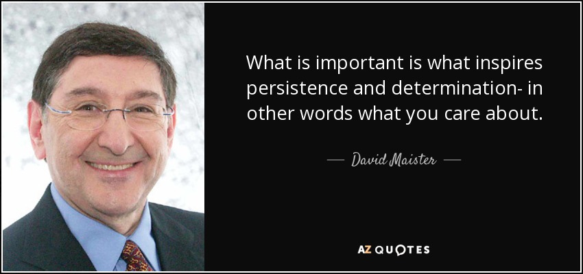 What is important is what inspires persistence and determination- in other words what you care about. - David Maister