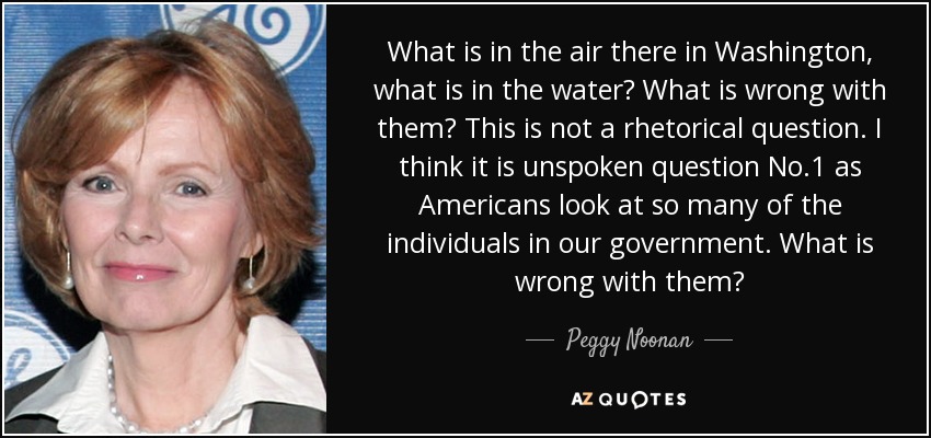 What is in the air there in Washington, what is in the water? What is wrong with them? This is not a rhetorical question. I think it is unspoken question No.1 as Americans look at so many of the individuals in our government. What is wrong with them? - Peggy Noonan