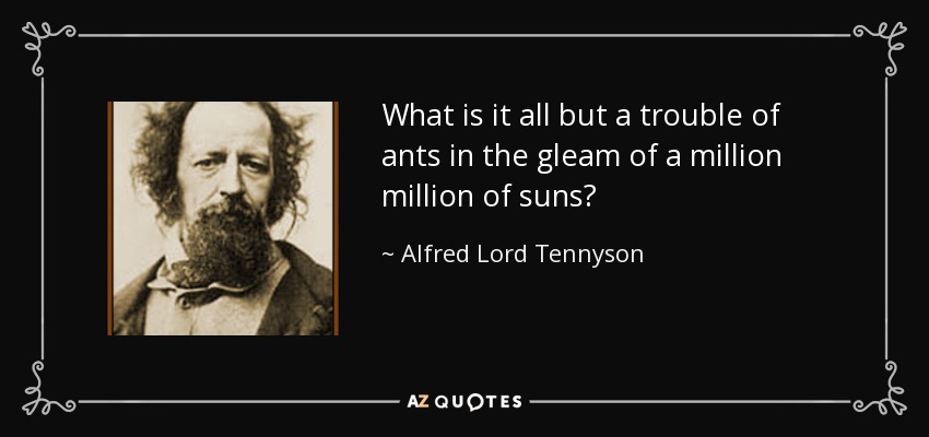 What is it all but a trouble of ants in the gleam of a million million of suns? - Alfred Lord Tennyson