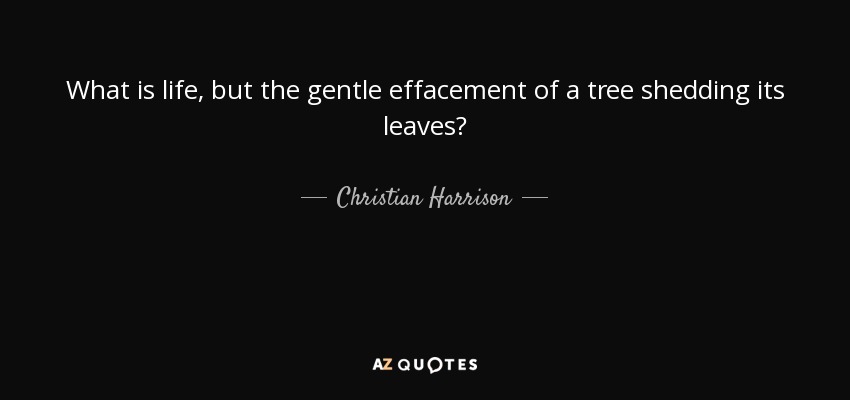 What is life, but the gentle effacement of a tree shedding its leaves? - Christian Harrison
