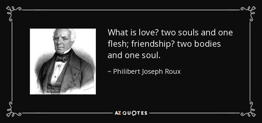 What is love? two souls and one flesh; friendship? two bodies and one soul. - Philibert Joseph Roux