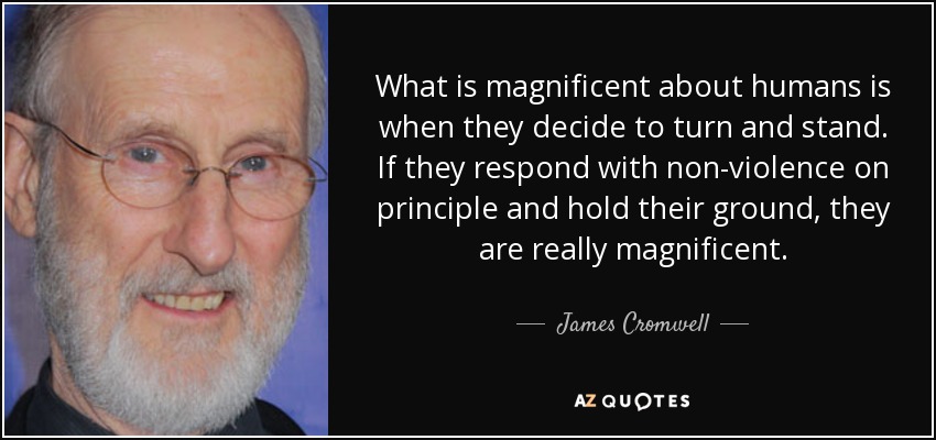 What is magnificent about humans is when they decide to turn and stand. If they respond with non-violence on principle and hold their ground, they are really magnificent. - James Cromwell