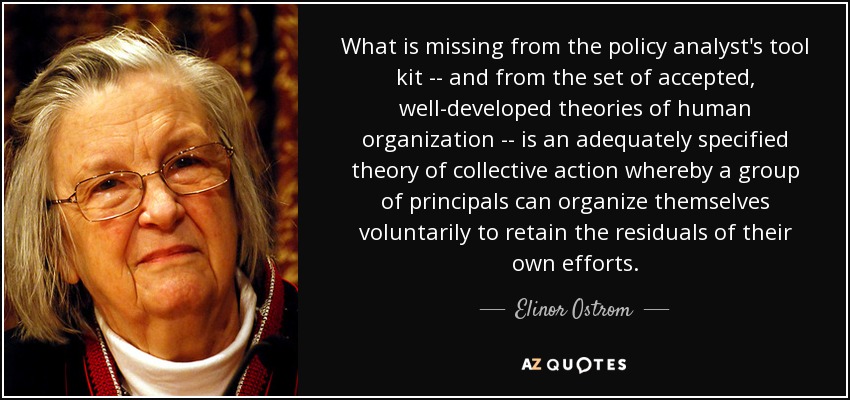 What is missing from the policy analyst's tool kit -- and from the set of accepted, well-developed theories of human organization -- is an adequately specified theory of collective action whereby a group of principals can organize themselves voluntarily to retain the residuals of their own efforts. - Elinor Ostrom