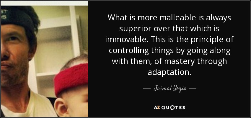 What is more malleable is always superior over that which is immovable. This is the principle of controlling things by going along with them, of mastery through adaptation. - Jaimal Yogis