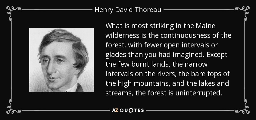 What is most striking in the Maine wilderness is the continuousness of the forest, with fewer open intervals or glades than you had imagined. Except the few burnt lands, the narrow intervals on the rivers, the bare tops of the high mountains, and the lakes and streams, the forest is uninterrupted. - Henry David Thoreau