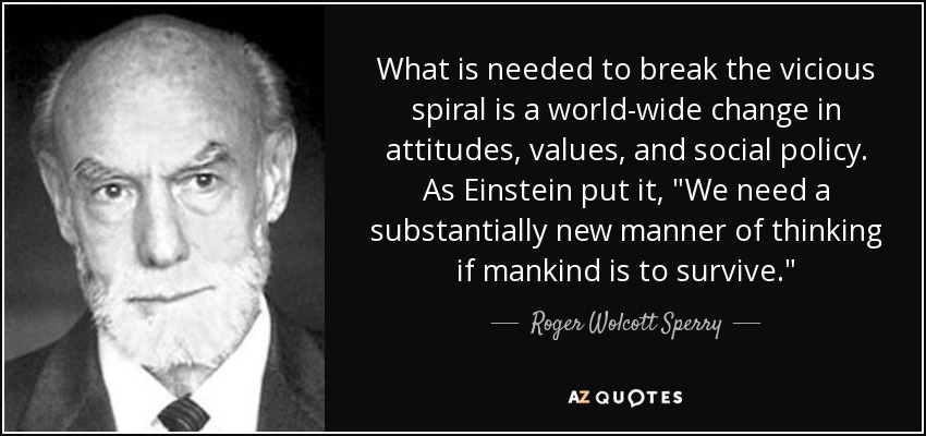 What is needed to break the vicious spiral is a world-wide change in attitudes, values, and social policy. As Einstein put it, 