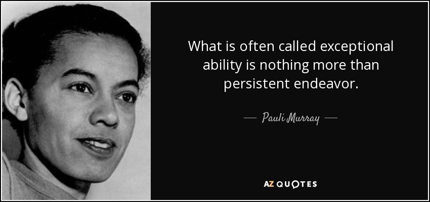 What is often called exceptional ability is nothing more than persistent endeavor. - Pauli Murray