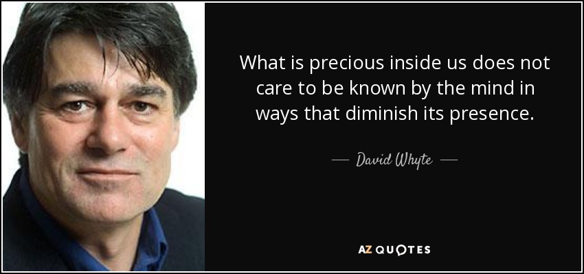 What is precious inside us does not care to be known by the mind in ways that diminish its presence. - David Whyte