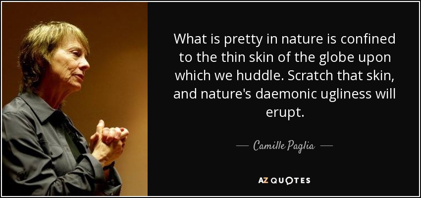 What is pretty in nature is confined to the thin skin of the globe upon which we huddle. Scratch that skin, and nature's daemonic ugliness will erupt. - Camille Paglia