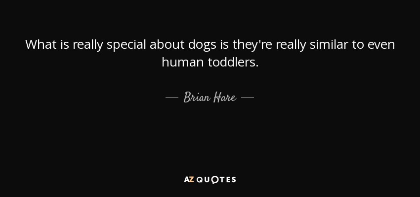 What is really special about dogs is they're really similar to even human toddlers. - Brian Hare