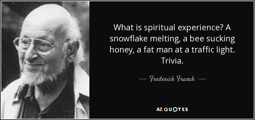 What is spiritual experience? A snowflake melting, a bee sucking honey, a fat man at a traffic light. Trivia. - Frederick Franck