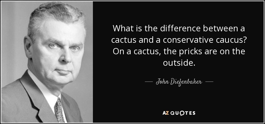 What is the difference between a cactus and a conservative caucus? On a cactus, the pricks are on the outside. - John Diefenbaker