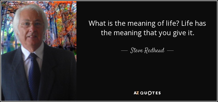 What is the meaning of life? Life has the meaning that you give it. - Steve Redhead