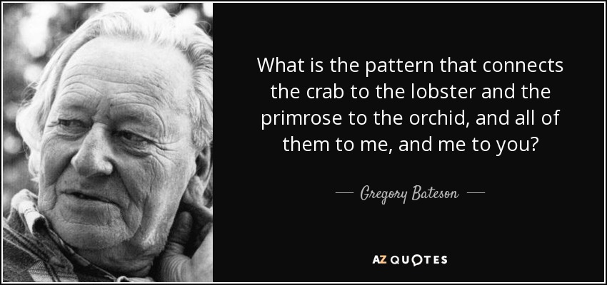 What is the pattern that connects the crab to the lobster and the primrose to the orchid, and all of them to me, and me to you? - Gregory Bateson